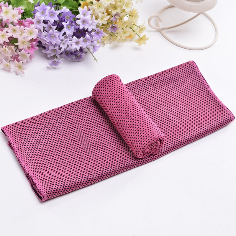 Microfiber Towel