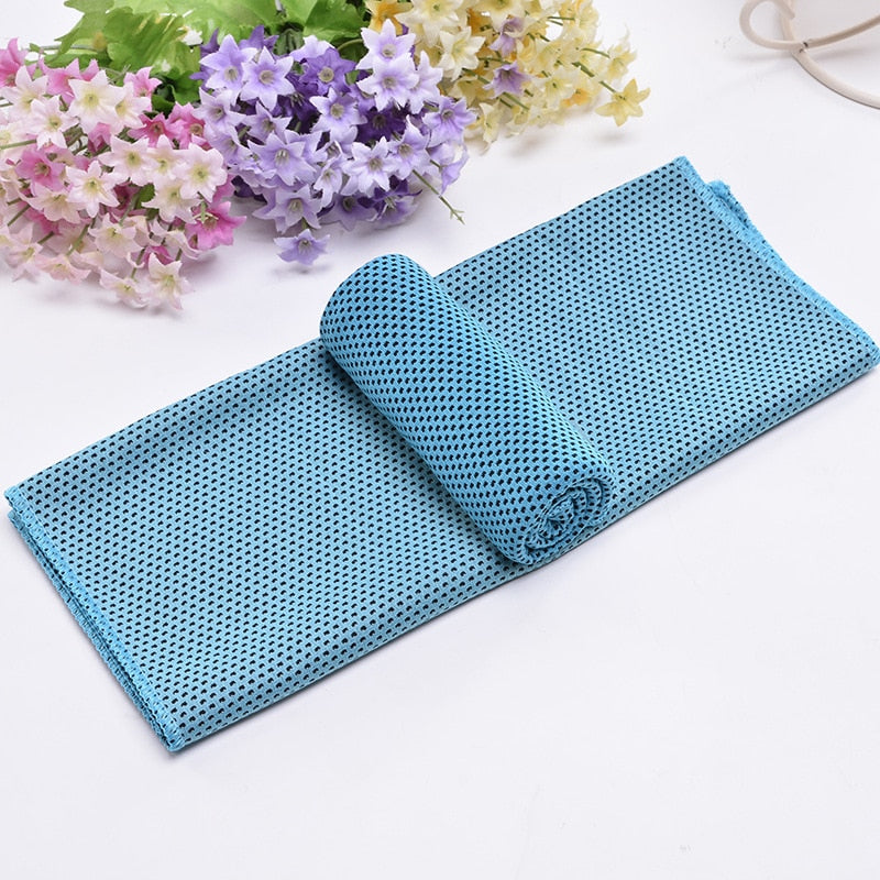 Microfiber Towel