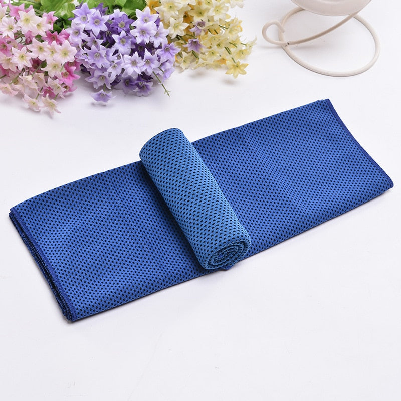 Microfiber Towel