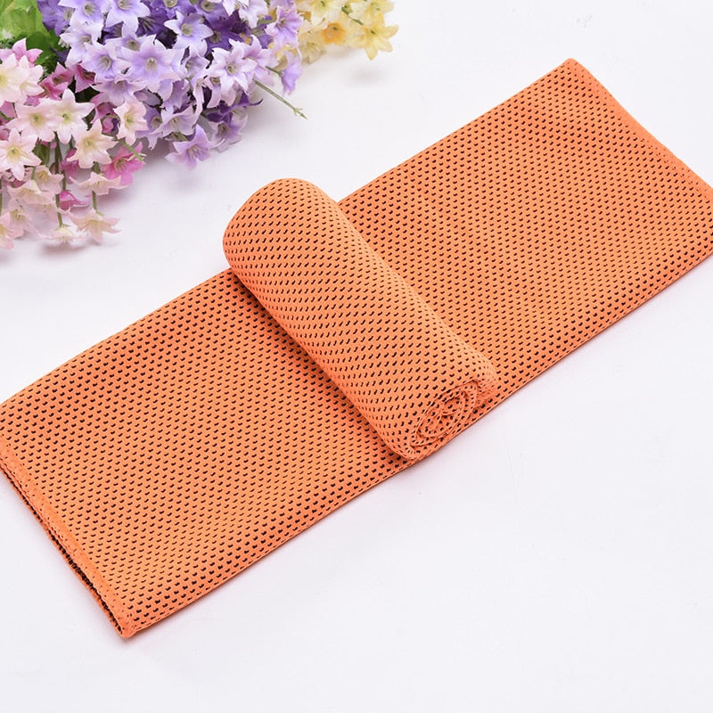 Microfiber Towel