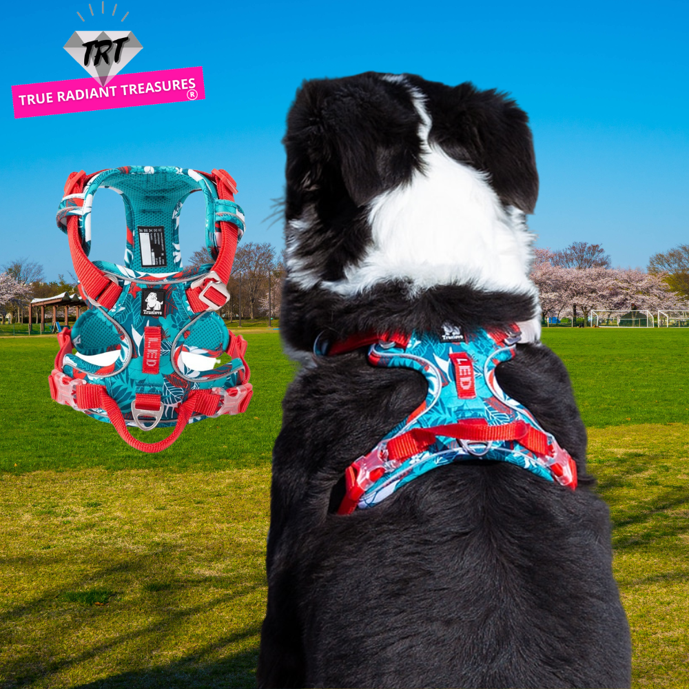 Image of Explosion-proof Dog Harness - Comfortable and lightweight harness with reflective materials. Breathable air mesh and soft inner layer for your dog's comfort. Easy to put on and take off with aviation aluminum fittings. Ideal for walks or hikes, day or night.