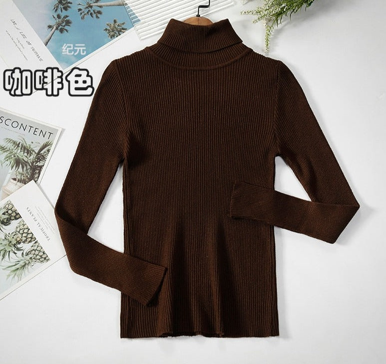 Turtleneck Knitted Sweater | Polyester, Nylon & Cotton Blend | Comfortable & Elegant | Various Colors Available