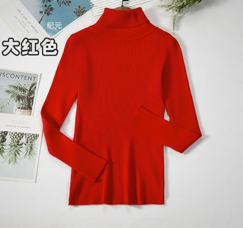 Turtleneck Knitted Sweater | Polyester, Nylon & Cotton Blend | Comfortable & Elegant | Various Colors Available