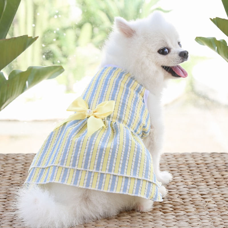 Pet's Summer Princess Dress - Comfortable and Stylish Dog Dress for Summer Adventures