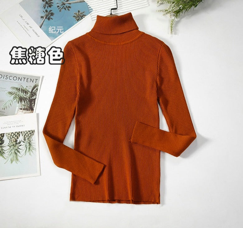 Turtleneck Knitted Sweater | Polyester, Nylon & Cotton Blend | Comfortable & Elegant | Various Colors Available
