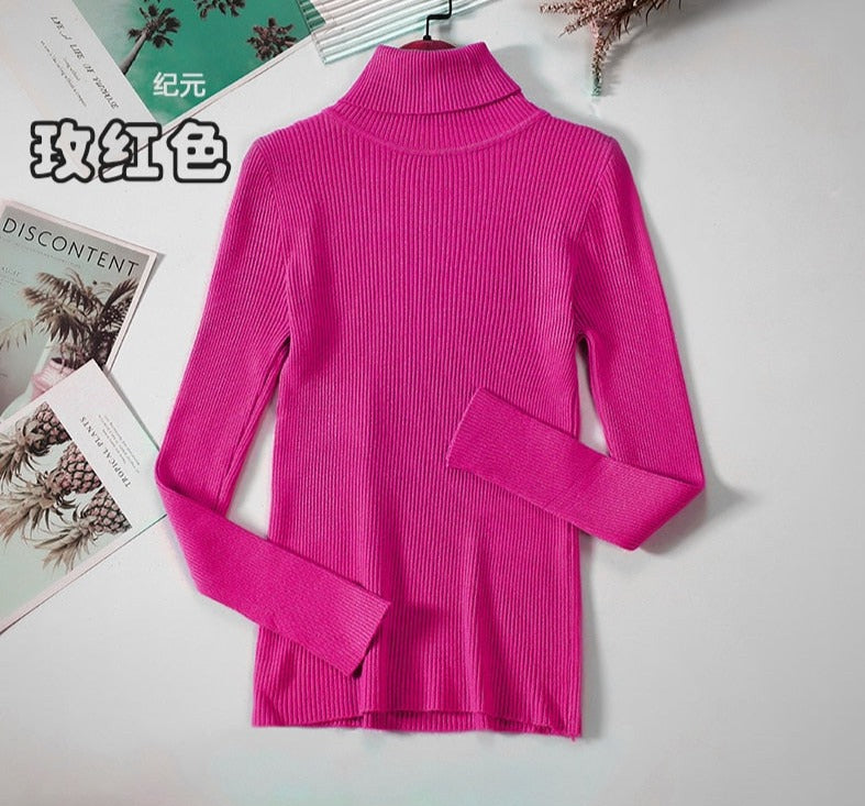 Turtleneck Knitted Sweater | Polyester, Nylon & Cotton Blend | Comfortable & Elegant | Various Colors Available