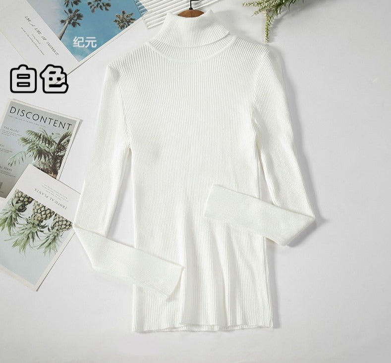 Turtleneck Knitted Sweater | Polyester, Nylon & Cotton Blend | Comfortable & Elegant | Various Colors Available
