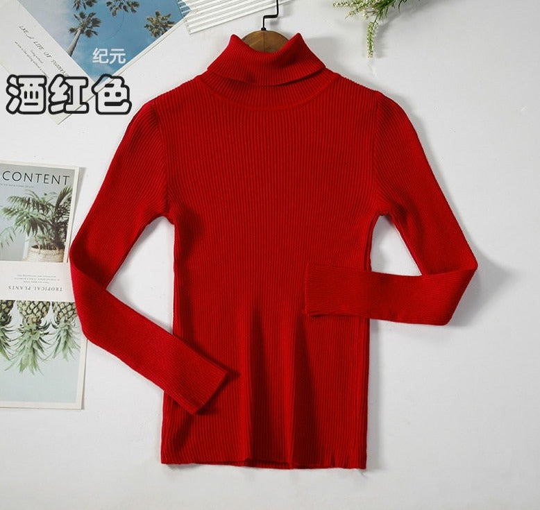 Turtleneck Knitted Sweater | Polyester, Nylon & Cotton Blend | Comfortable & Elegant | Various Colors Available