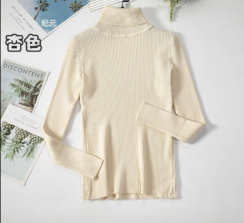 Turtleneck Knitted Sweater | Polyester, Nylon & Cotton Blend | Comfortable & Elegant | Various Colors Available