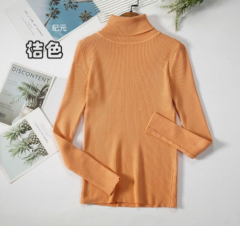 Turtleneck Knitted Sweater | Polyester, Nylon & Cotton Blend | Comfortable & Elegant | Various Colors Available