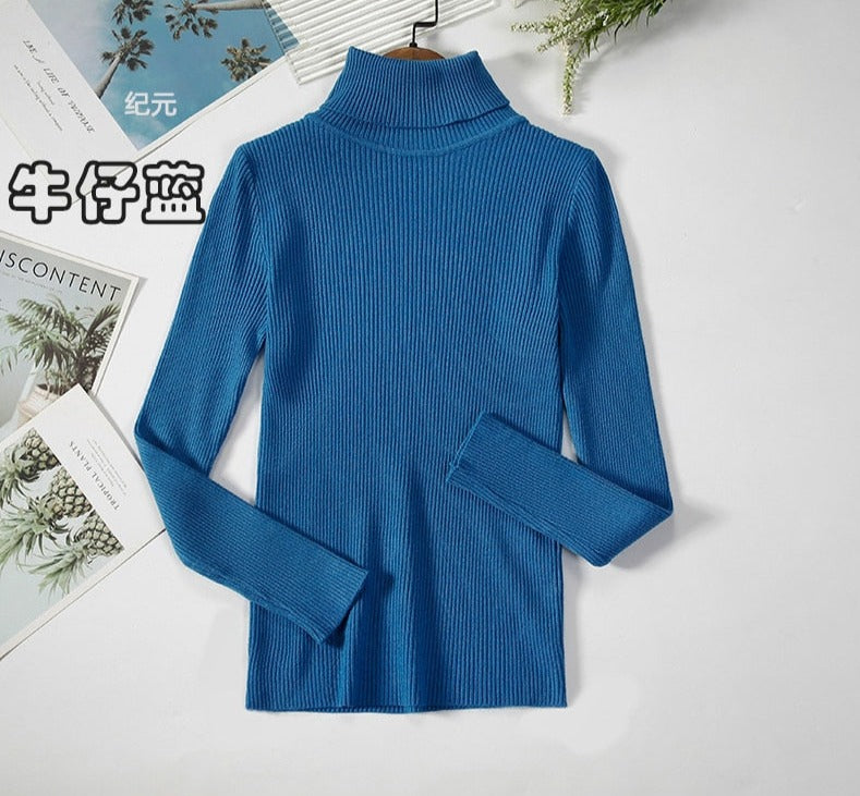 Turtleneck Knitted Sweater | Polyester, Nylon & Cotton Blend | Comfortable & Elegant | Various Colors Available