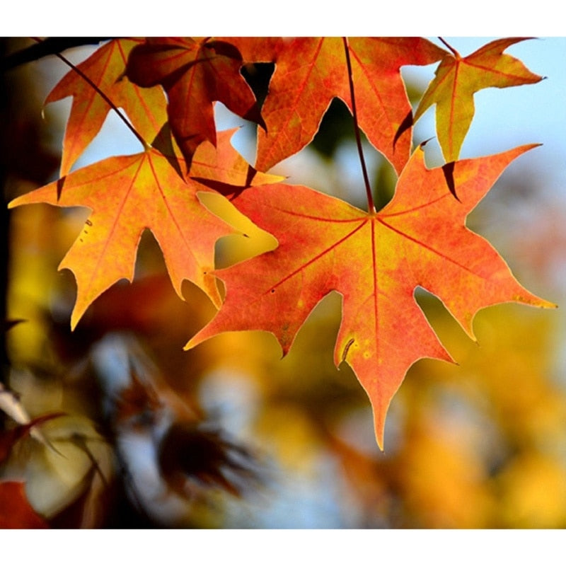 Maple Leaf String Decor featuring golden and silver leaves, perfect for adding a festive touch to Thanksgiving celebrations, versatile for placement on fireplace, door, or steps.