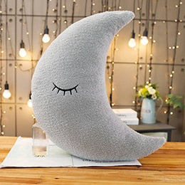 Plush Cushion Pillows