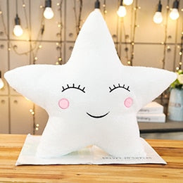 Plush Cushion Pillows