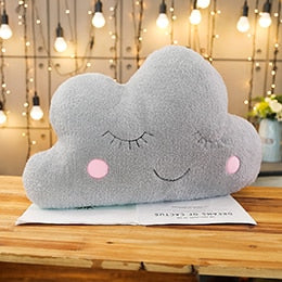 Plush Cushion Pillows