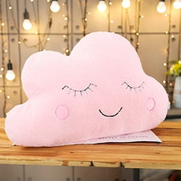 Plush Cushion Pillows