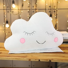 Plush Cushion Pillows
