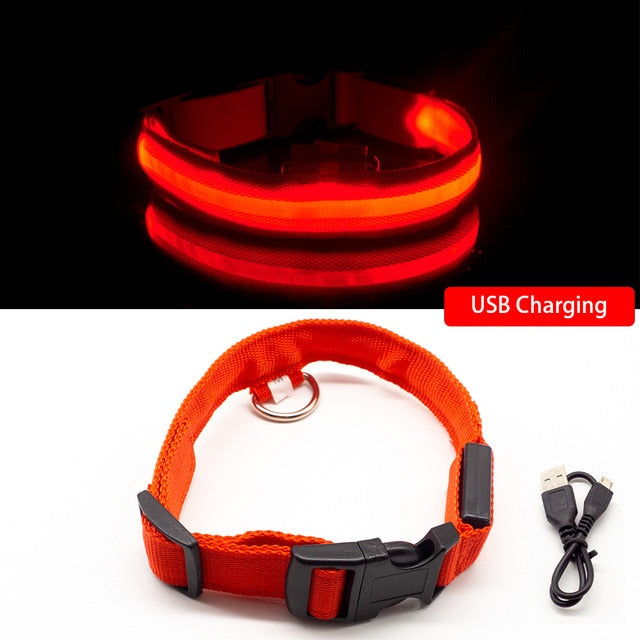 Pet Collar - USB Charging and Button Battery Versions - Quick Release - High-Quality Nylon and Fiber - Anti-lost - Avoid Car Accidents - Suitable for Small, Medium, and Large Dogs