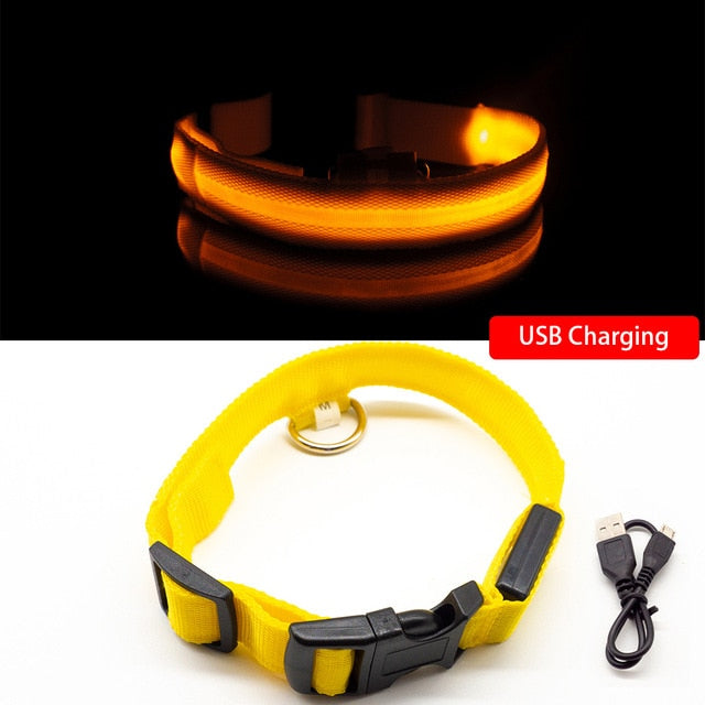 Pet Collar - USB Charging and Button Battery Versions - Quick Release - High-Quality Nylon and Fiber - Anti-lost - Avoid Car Accidents - Suitable for Small, Medium, and Large Dogs