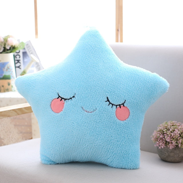 Plush Cushion Pillows