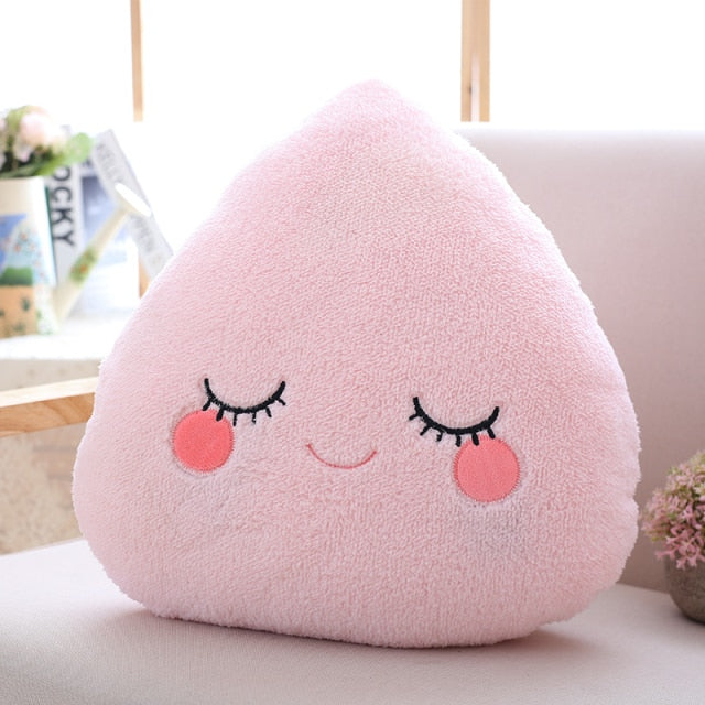 Plush Cushion Pillows