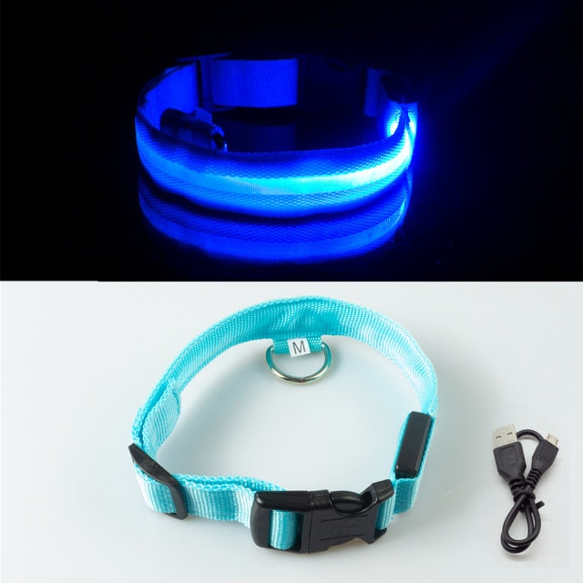 Pet Collar - USB Charging and Button Battery Versions - Quick Release - High-Quality Nylon and Fiber - Anti-lost - Avoid Car Accidents - Suitable for Small, Medium, and Large Dogs