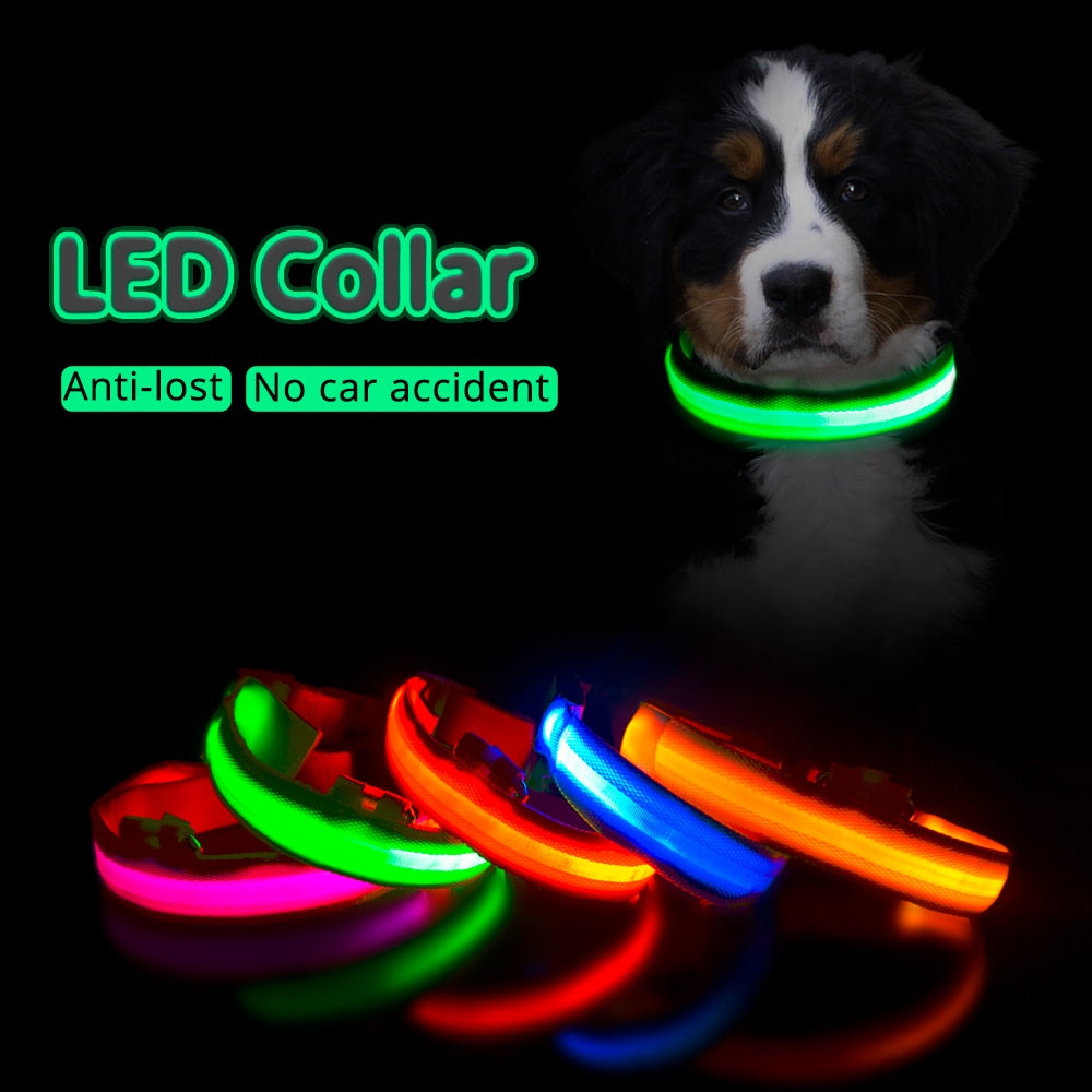 Pet Collar - USB Charging and Button Battery Versions - Quick Release - High-Quality Nylon and Fiber - Anti-lost - Avoid Car Accidents - Suitable for Small, Medium, and Large Dogs