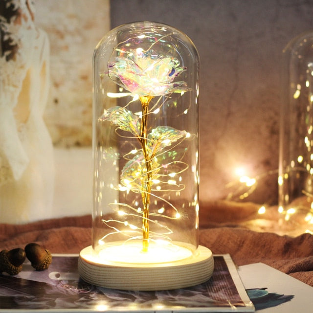 Special Romantic Lighting Rose